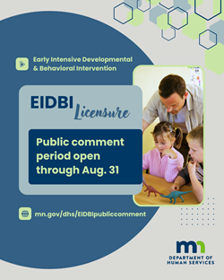 08-20-26-Aug. 31 online feedback for EIDBI licensing standards