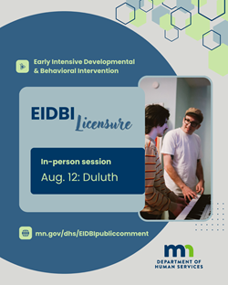 08-11-26 Duluth EIDBI licensing standards public meeting