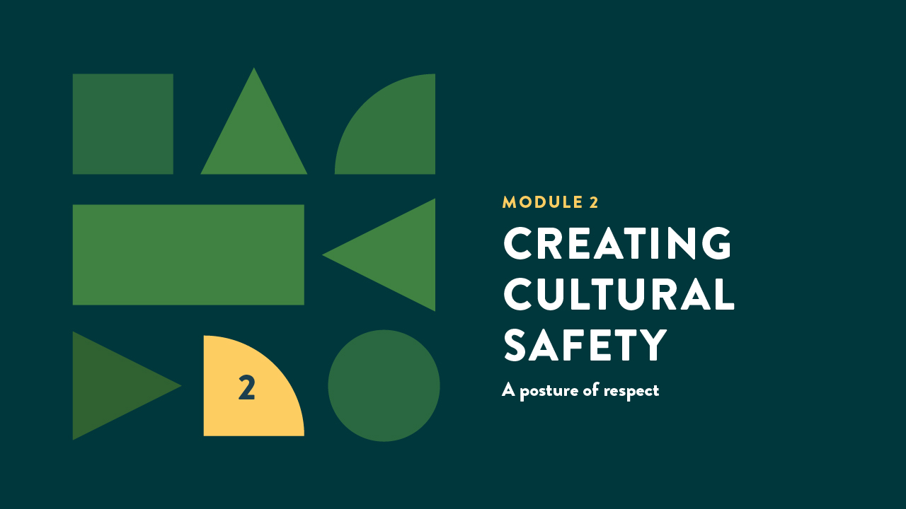 MODULE 2 Creating Cultural Safety